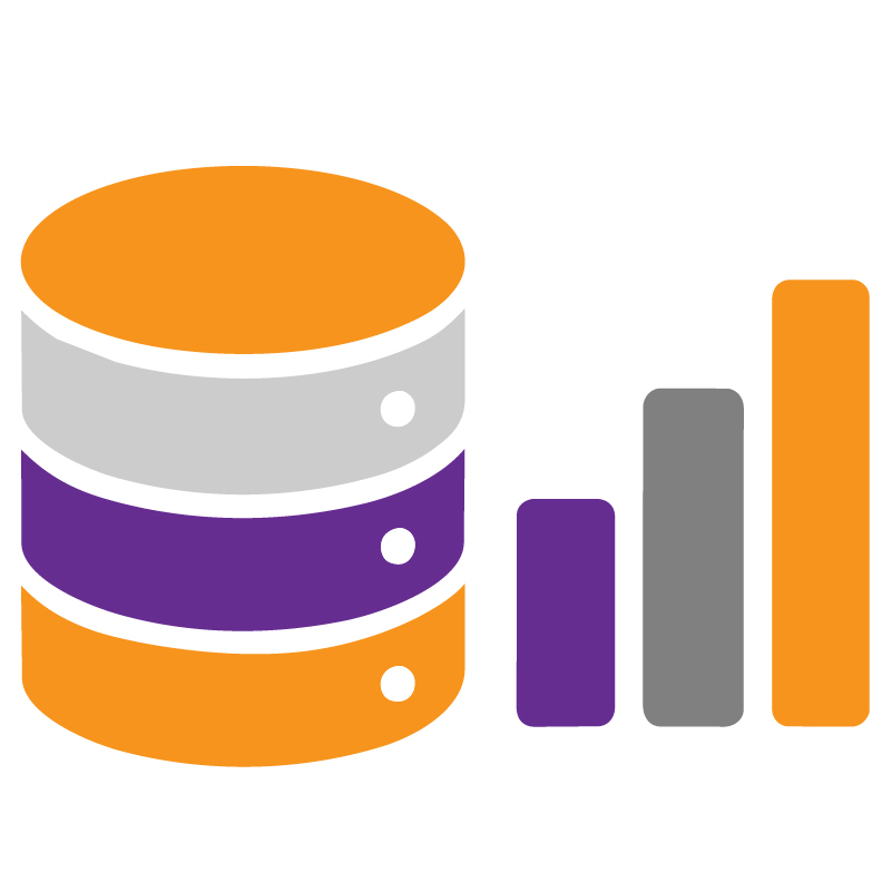 Data System Icon